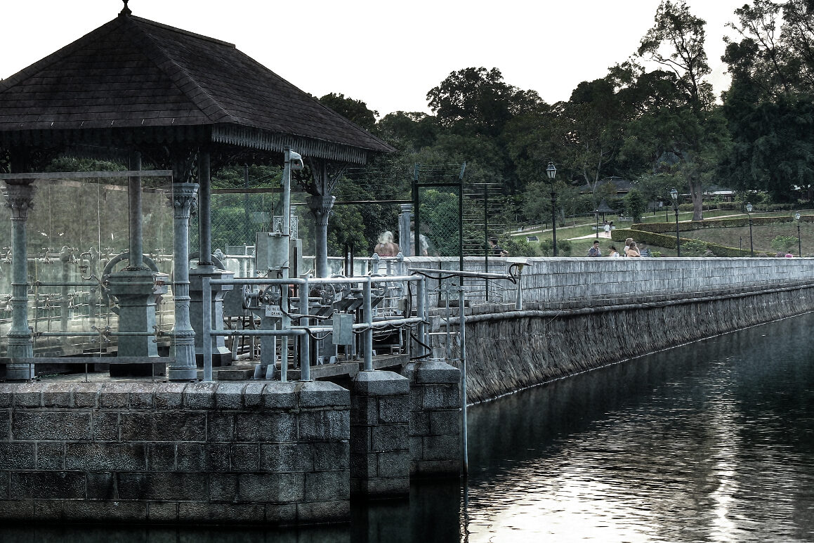 MacRitchie Reservoir